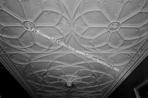 BIRR CASTLE  DINING ROOM CEILING